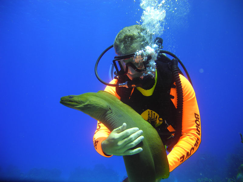 Matthew and Green Moray